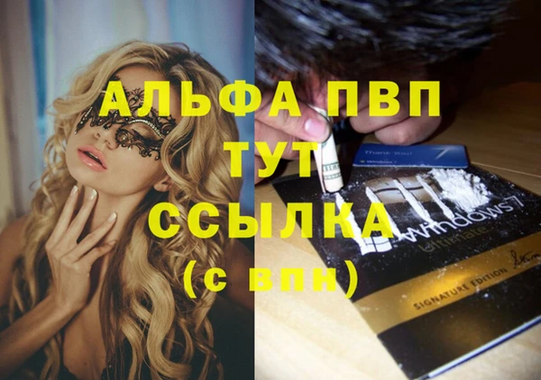 скорость Липки
