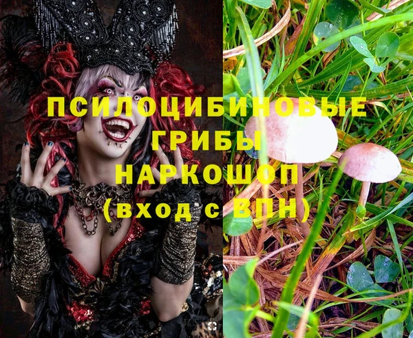 скорость Липки